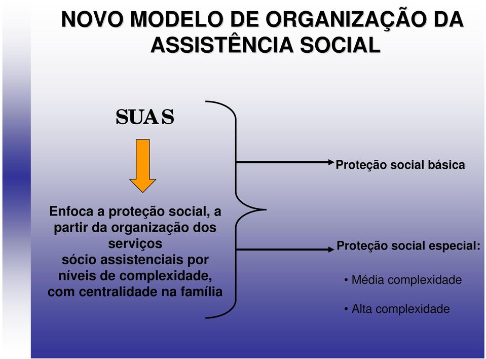 sócio assistenciais por níveis de complexidade, com centralidade na