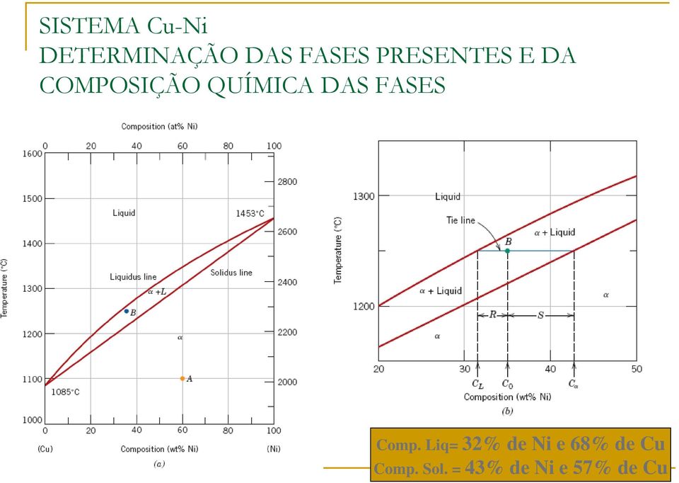 FASES B Comp.