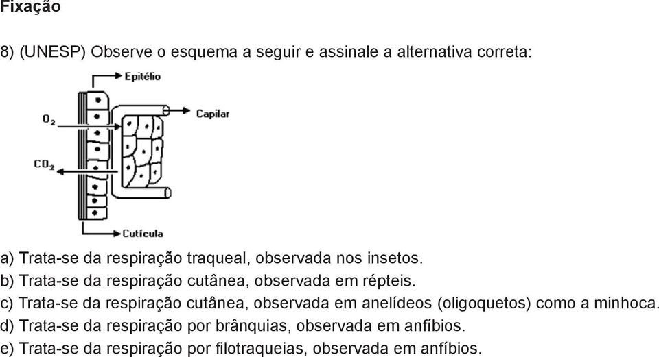 ) Trata-se da respiração cutânea, observada em anelídeos (oligoquetos) como a minhoca.