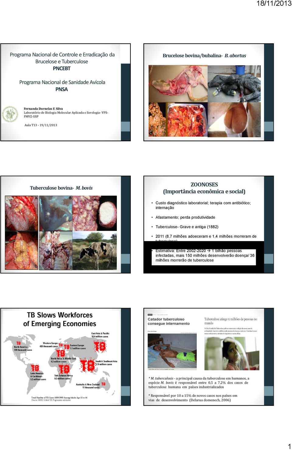 bovis ZOONOSES (Importância econômica e social) Custo diagnóstico laboratorial; terapia com antibiótico; internação Afastamento; perda produtividade Tuberculose- Grave e antiga (1882) 2011 (8,7