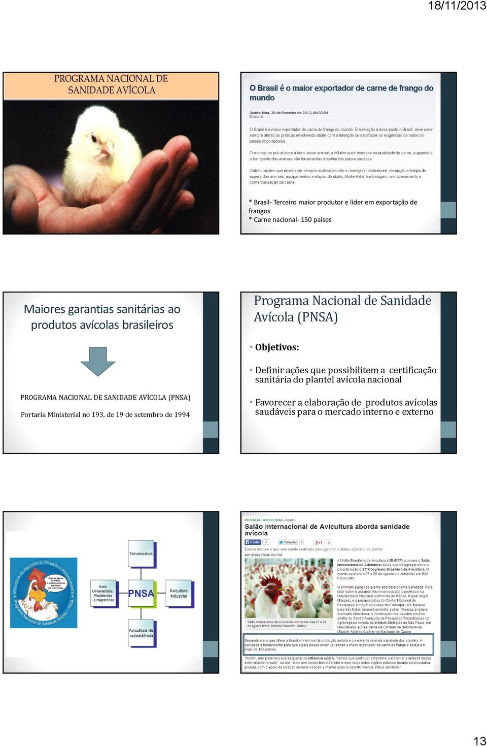 possibilitem a certificação sanitária do plantel avícola nacional PROGRAMA NACIONAL DE SANIDADE AVÍCOLA (PNSA) Portaria