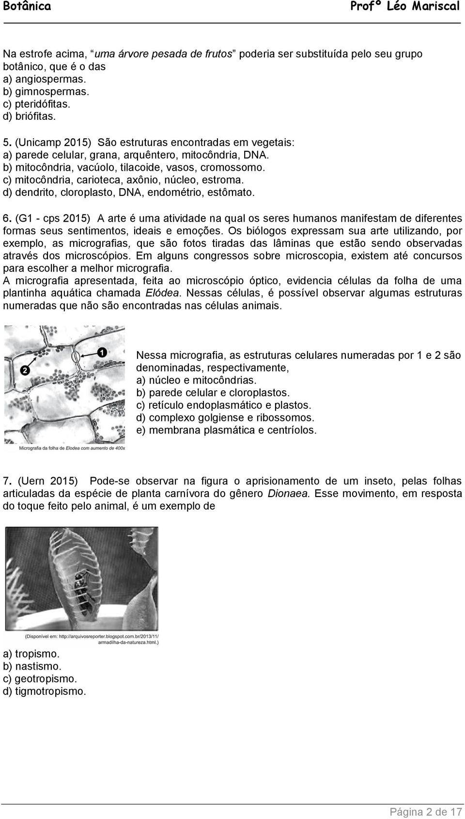 c) mitocôndria, carioteca, axônio, núcleo, estroma. d) dendrito, cloroplasto, DNA, endométrio, estômato. 6.