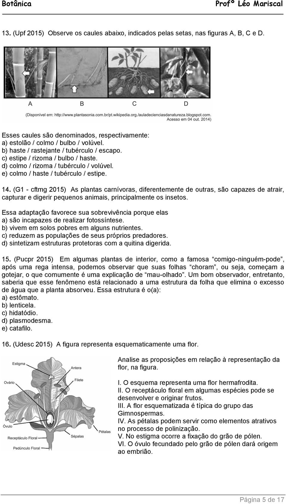 (G1 - cftmg 2015) As plantas carnívoras, diferentemente de outras, são capazes de atrair, capturar e digerir pequenos animais, principalmente os insetos.