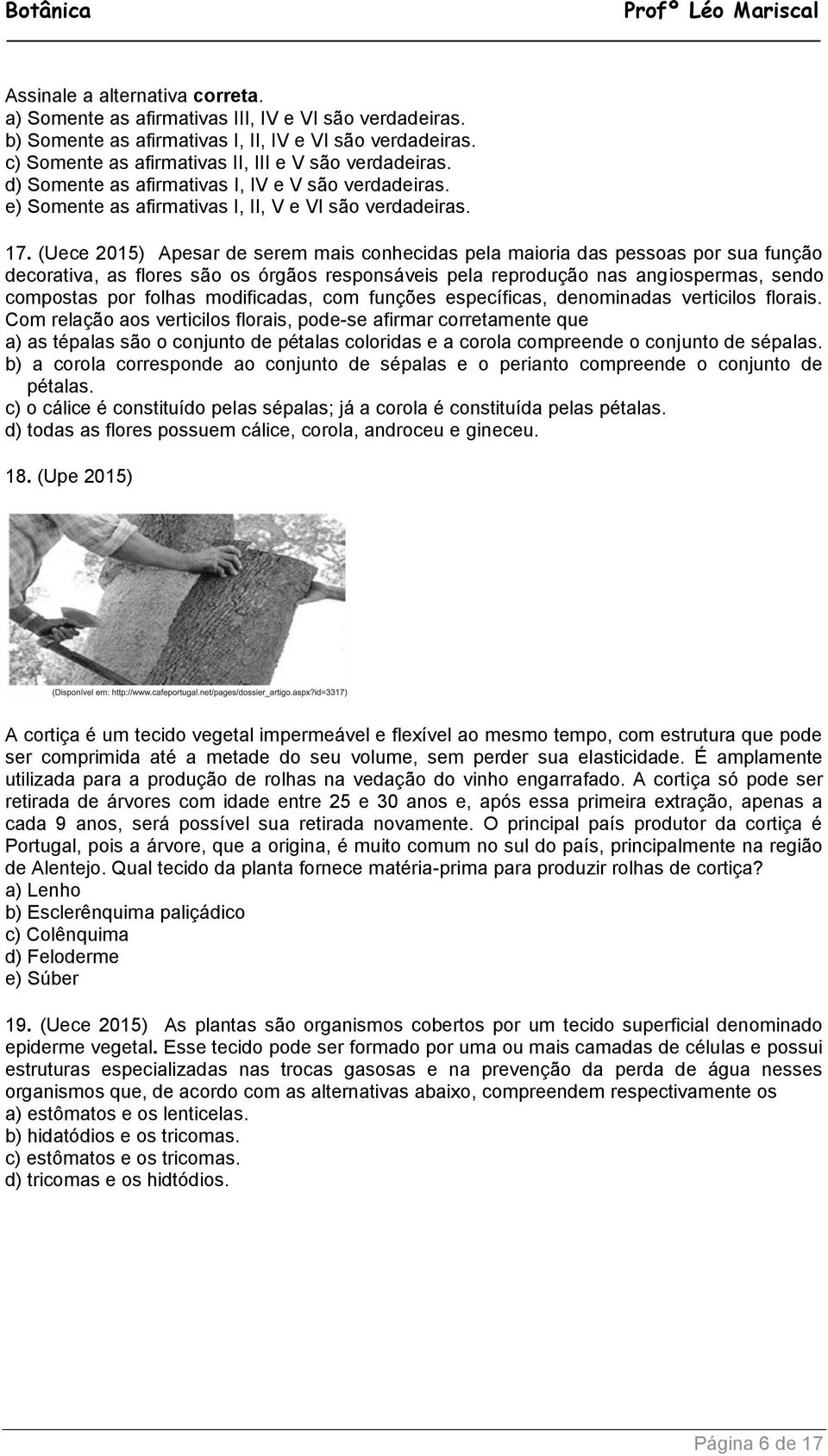 (Uece 2015) Apesar de serem mais conhecidas pela maioria das pessoas por sua função decorativa, as flores são os órgãos responsáveis pela reprodução nas angiospermas, sendo compostas por folhas