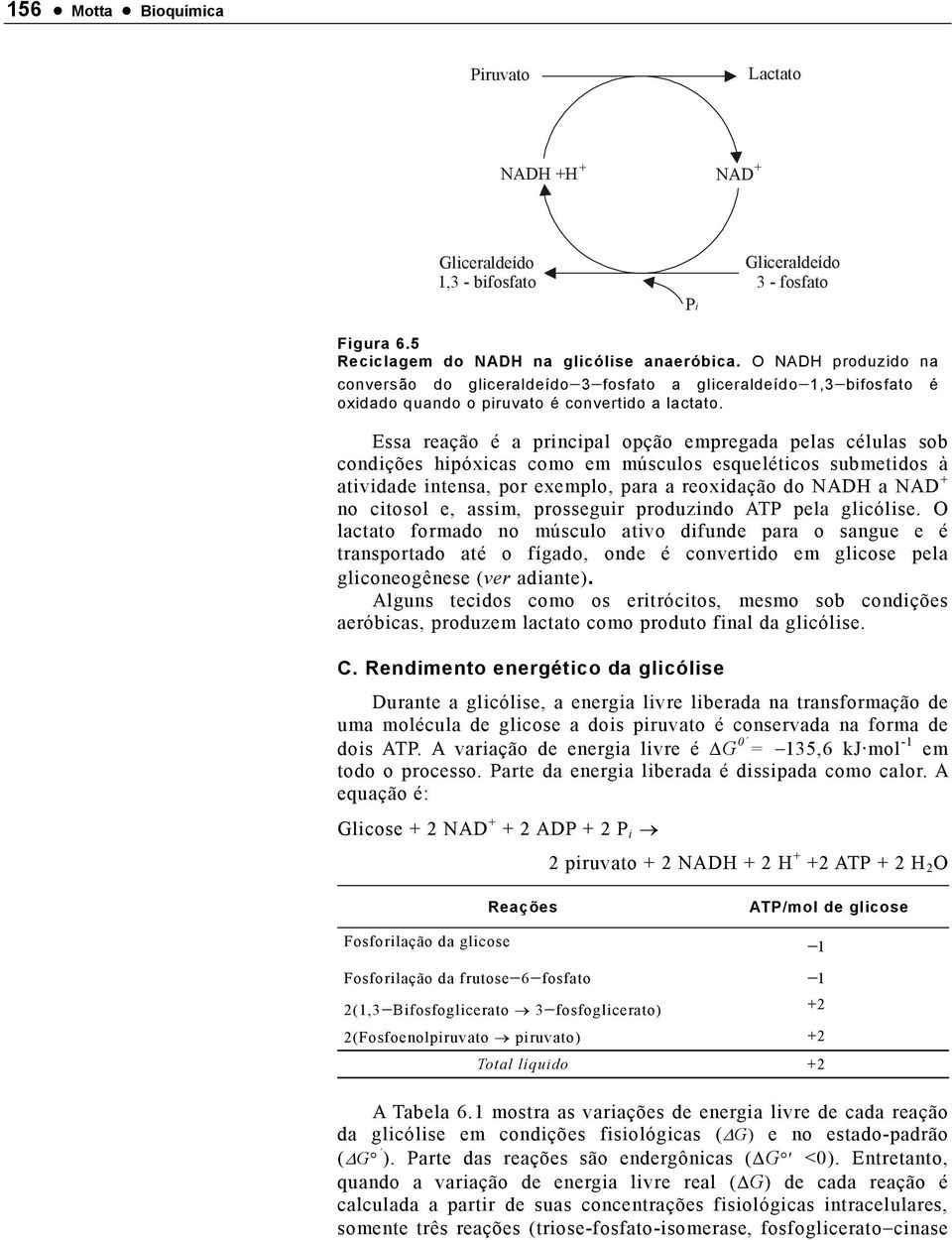 Essa reação é a principal opção empregada pelas células sob condições hipóxicas como em músculos esqueléticos submetidos à atividade intensa, por exemplo, para a reoxidação do NAD a NAD no citosol e,