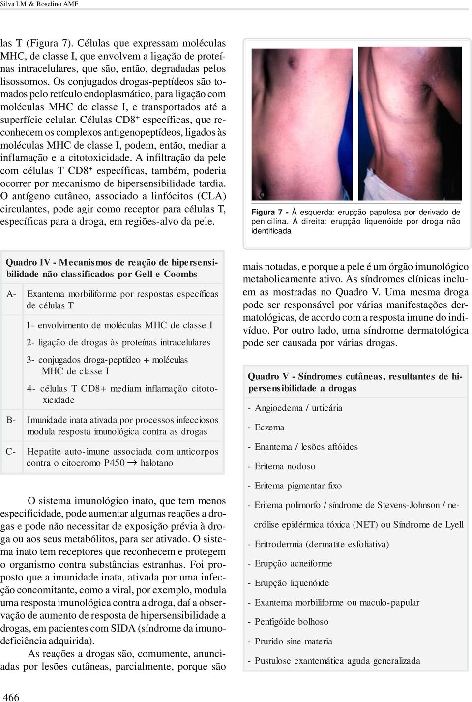 Células CD8 + específicas, que reconhecem os complexos antigenopeptídeos, ligados às moléculas MHC de classe I, podem, então, mediar a inflamação e a citotoxicidade.