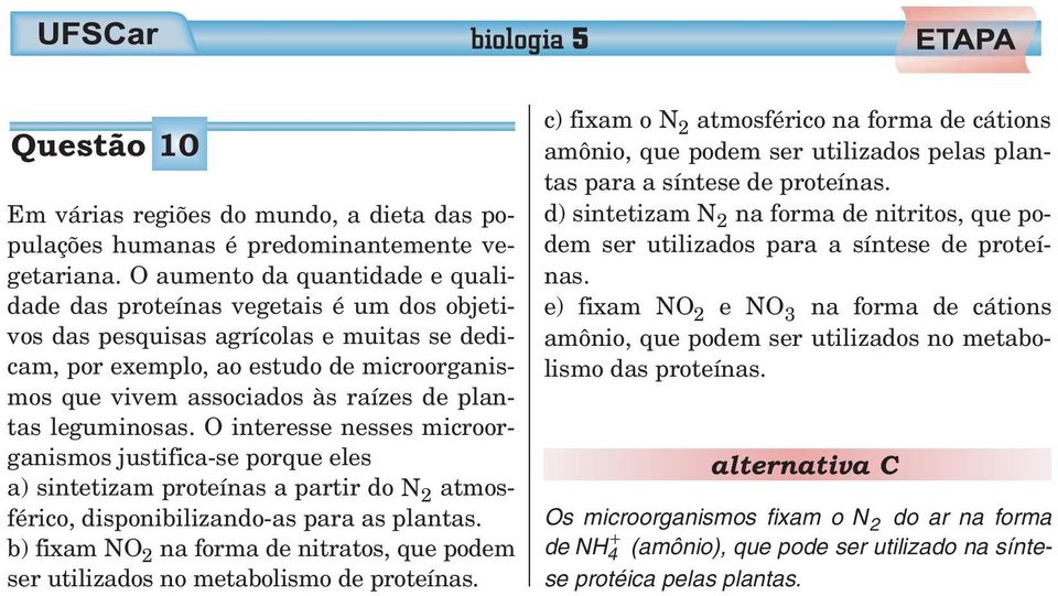 plantas leguminosas. O interesse nesses microorganismos justifica-se porque eles a) sintetizam proteínas a partir do N 2 atmosférico, disponibilizando-as para as plantas.