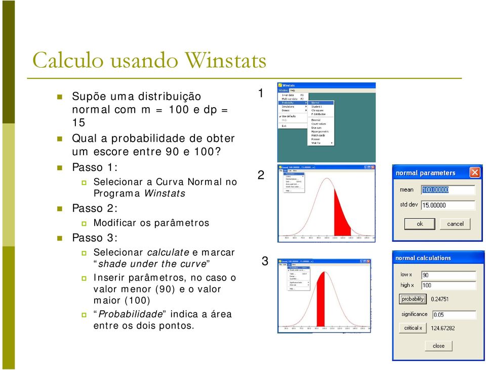 Passo 1: Passo 2: Passo 3: Selecionar a Curva Normal no Programa Winstats Modificar os parâmetros