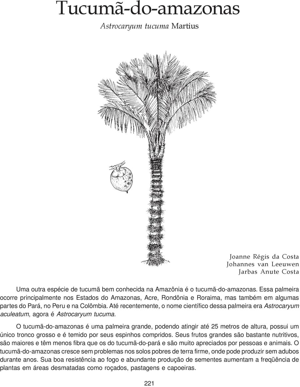 Até recentemente, o nome científico dessa palmeira era Astrocaryum aculeatum, agora é Astrocaryum tucuma.