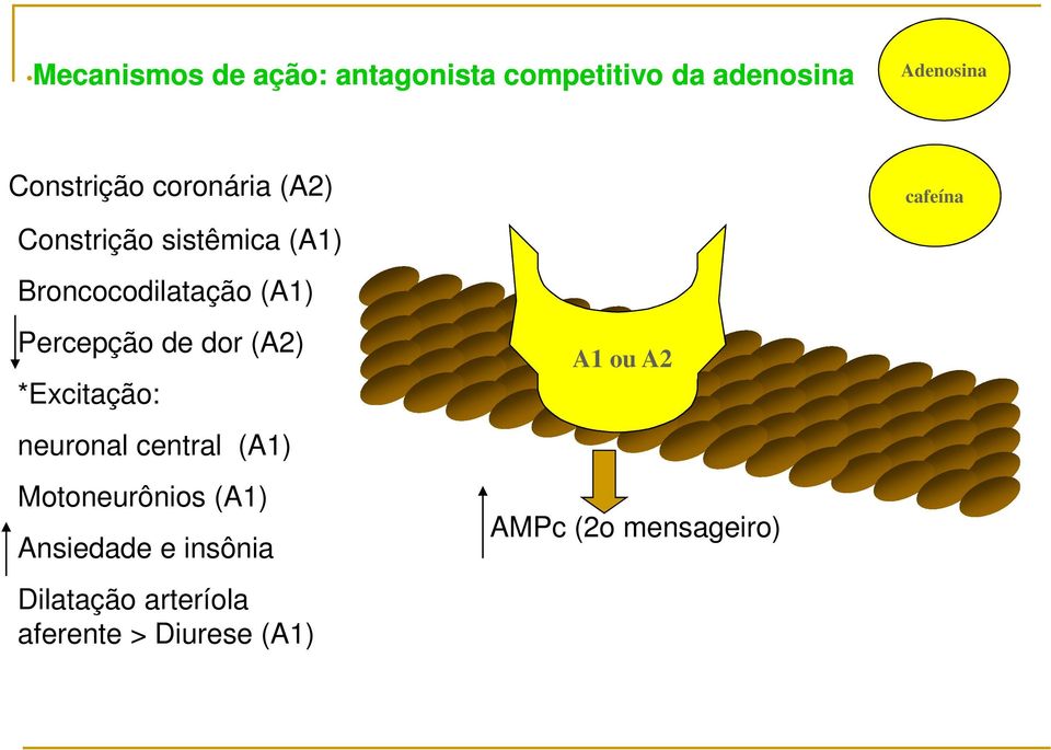 dor (A2) *Excitação: neuronal central (A1) Motoneurônios (A1) Ansiedade e