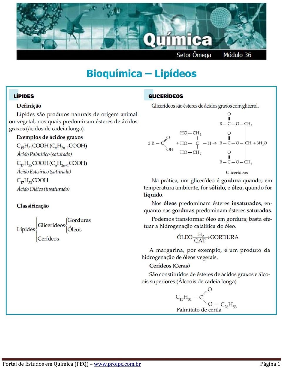 Química (PEQ) www.