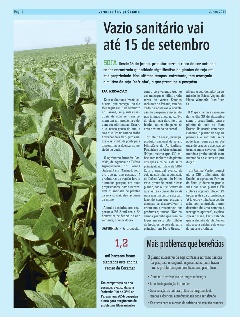 Nos últimos tempos, entretanto, tem avançado o cultivo de soja safrinha, o que preocupa a pesquisa Da Redação Com o chamado vazio sanitário que começou no dia 15 e segue até 15 de setembro no Paraná,