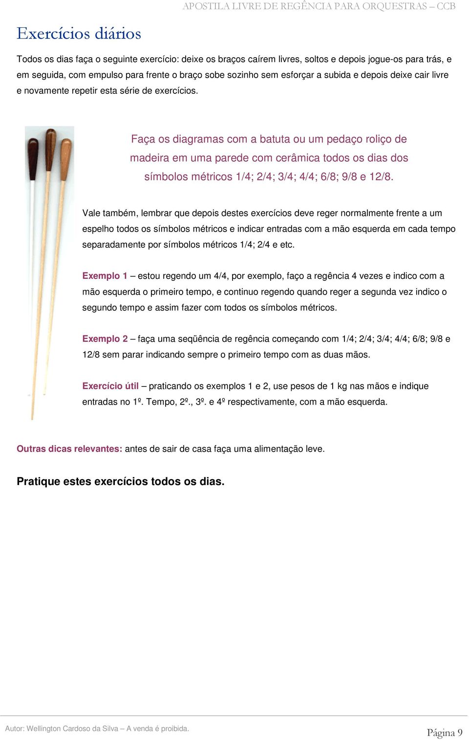 Faça os diagramas com a batuta ou um pedaço roliço de madeira em uma parede com cerâmica todos os dias dos símbolos métricos 1/4; 2/4; 3/4; 4/4; 6/8; 9/8 e 12/8.