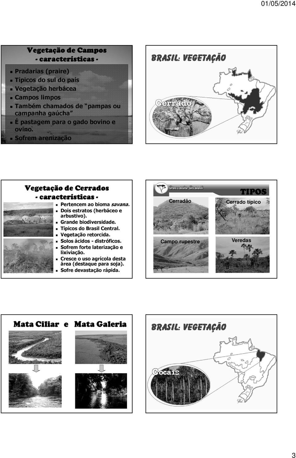 Grande biodiversidade. Típicos do Brasil Central. Vegetação retorcida. Solos ácidos -distróficos. Sofrem forte laterização e lixiviação.