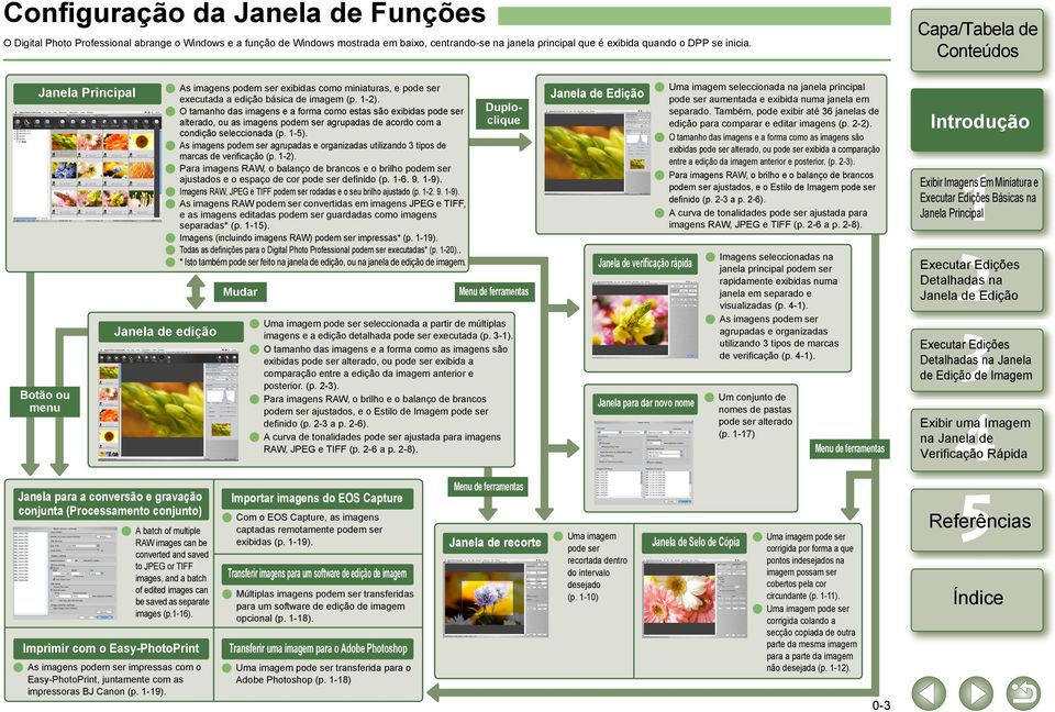 O tamanho das imagens e a forma como estas são exibidas pode ser alterado, ou as imagens podem ser agrupadas de acordo com a condição seleccionada (p. -).