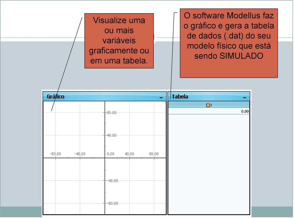 O software Modellus faz o gráfico e gera a