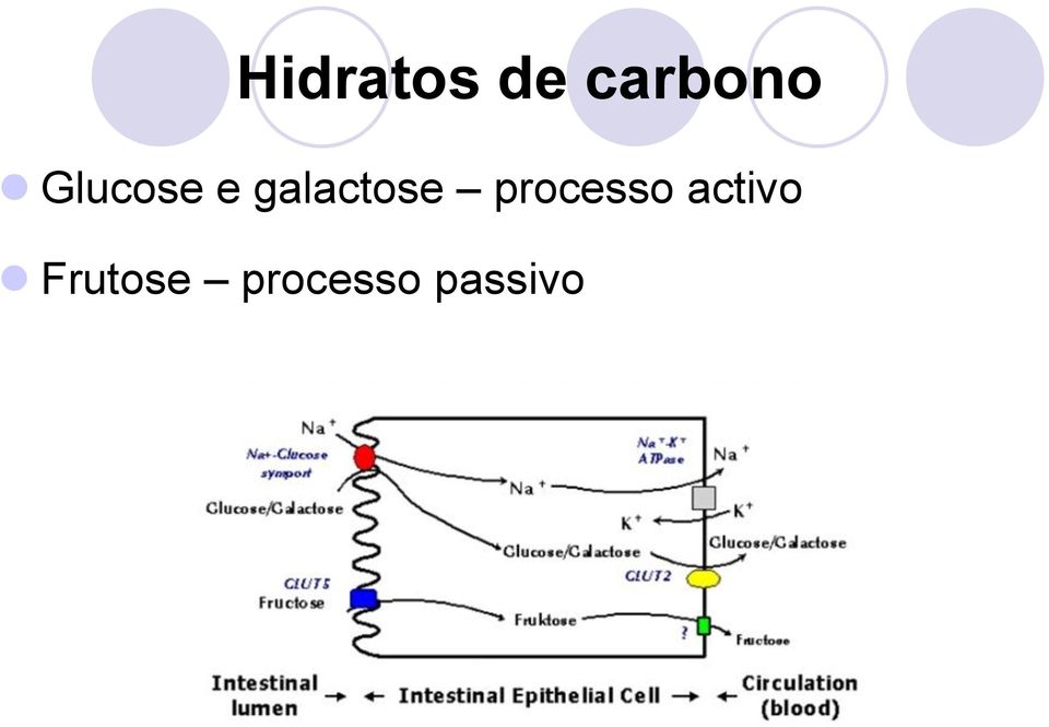 processo activo