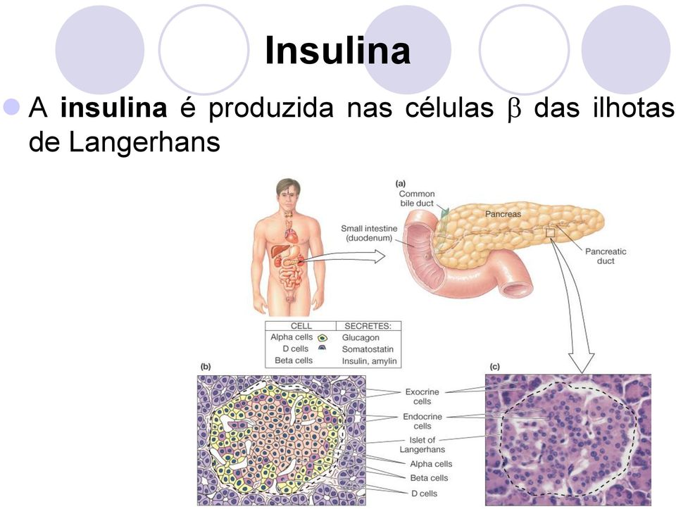 produzida nas