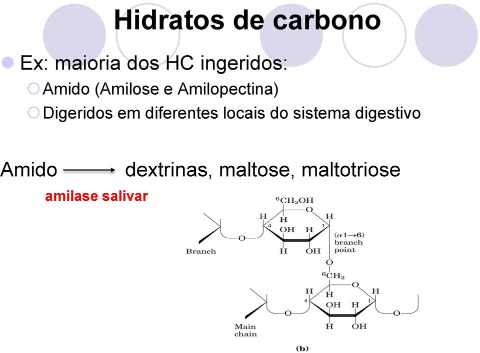 Digeridos em diferentes locais do sistema