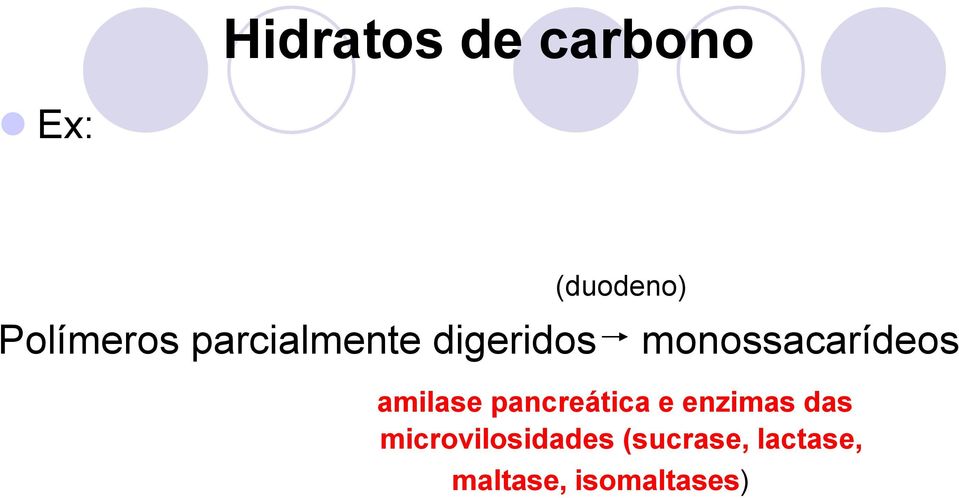 amilase pancreática e enzimas das