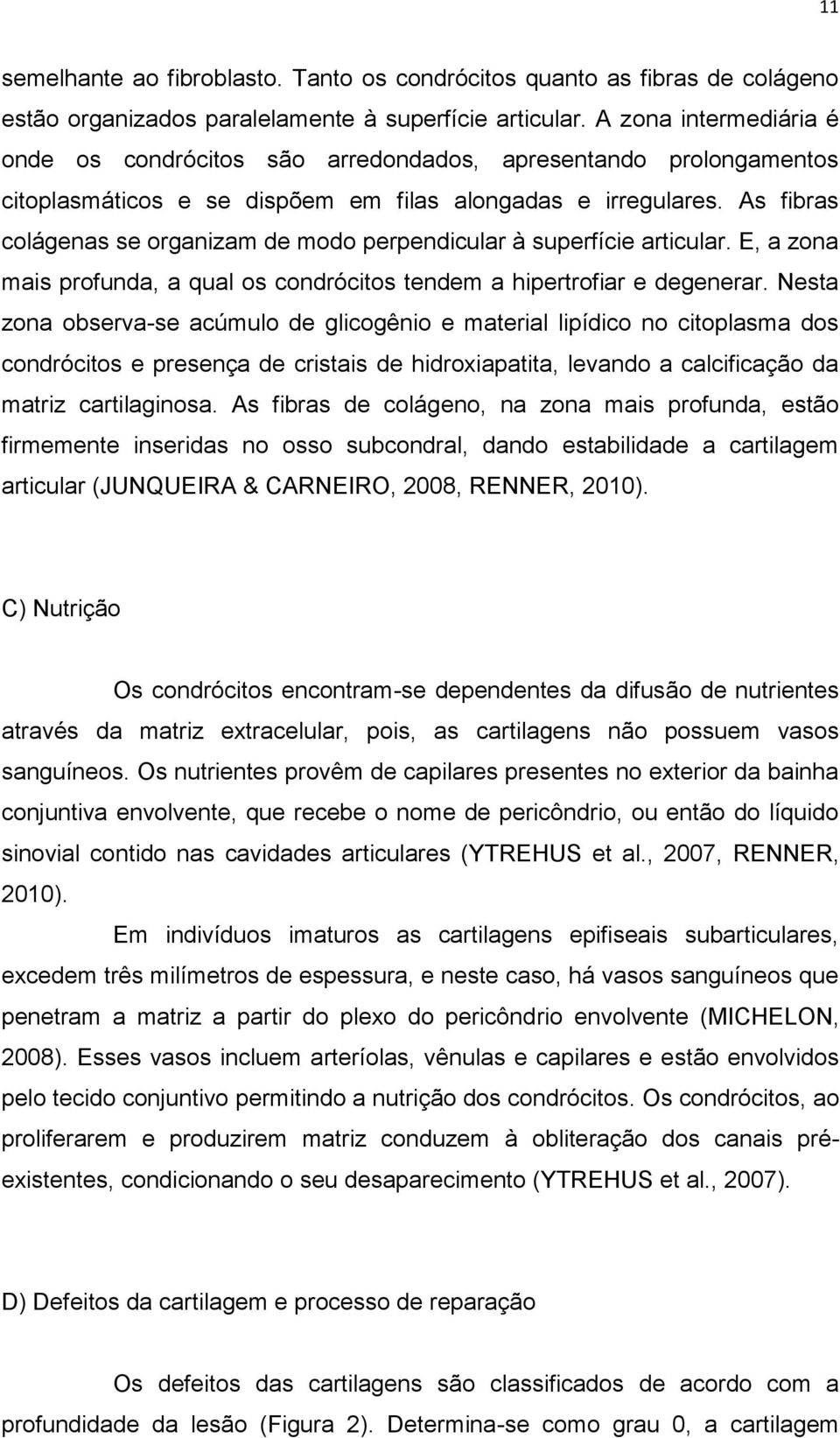 As fibras colágenas se organizam de modo perpendicular à superfície articular. E, a zona mais profunda, a qual os condrócitos tendem a hipertrofiar e degenerar.