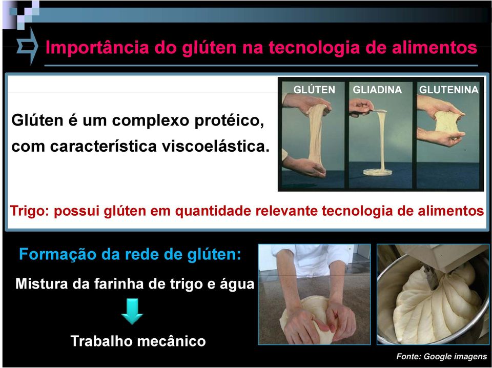 GLÚTEN GLIADINA GLUTENINA Trigo: possui glúten em quantidade relevante