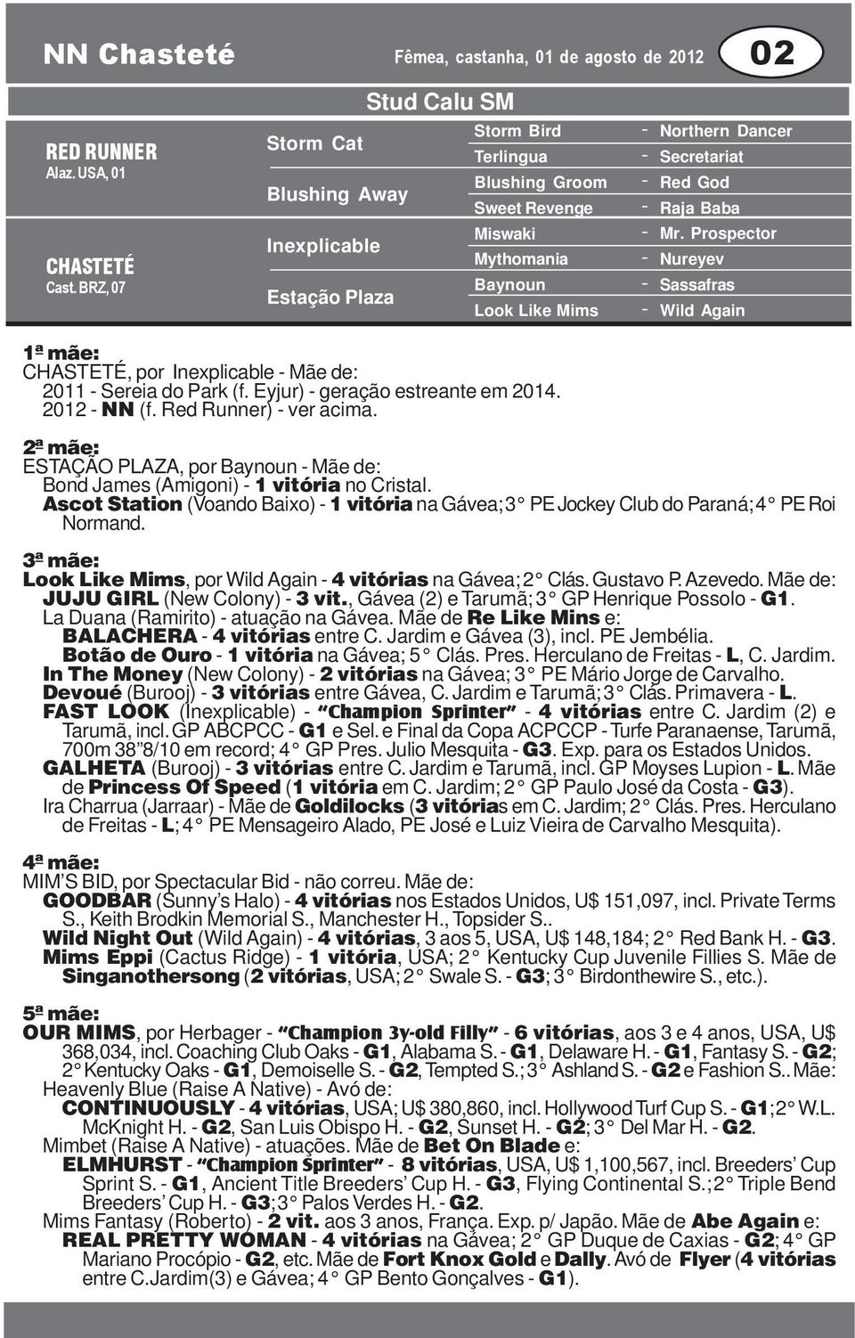 Raja Baba Mr. Prospector Nureyev Sassafras Wild Again CHASTETÉ, por Inexplicable Mãe de: 2011 Sereia do Park (f. Eyjur) geração estreante em 2014. 2012 NN (f. Red Runner) ver acima.