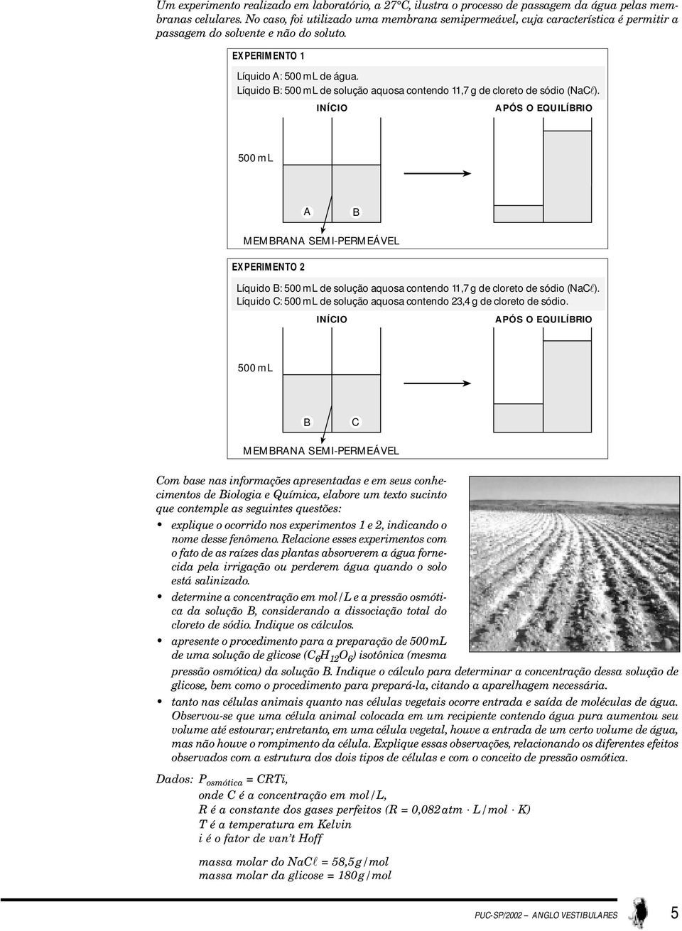 Líquido B: 500 ml de solução aquosa contendo 11,7 g de cloreto de sódio (NaCl).