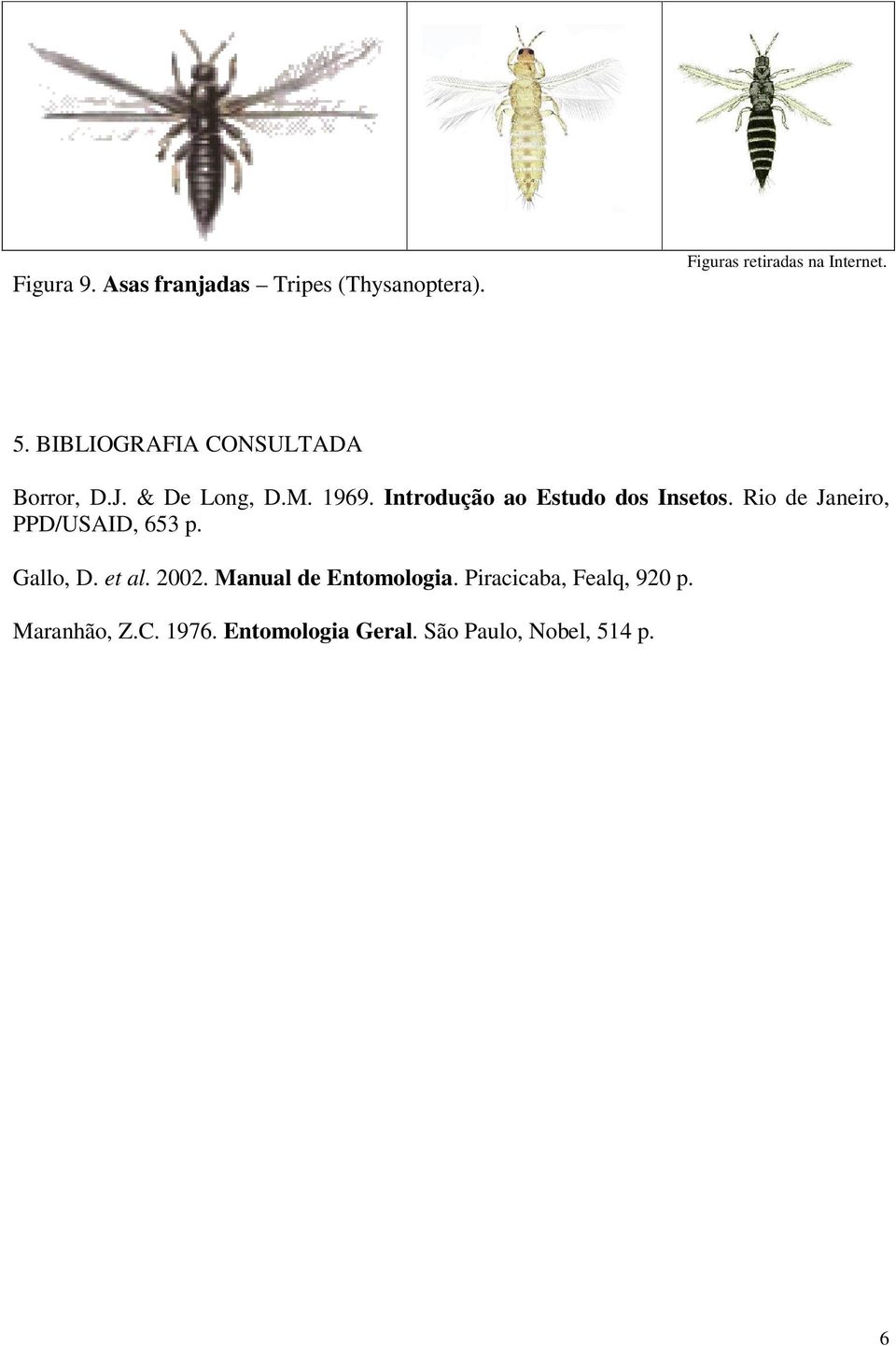 Introdução ao Estudo dos Insetos. Rio de Janeiro, PPD/USAID, 653 p. Gallo, D.