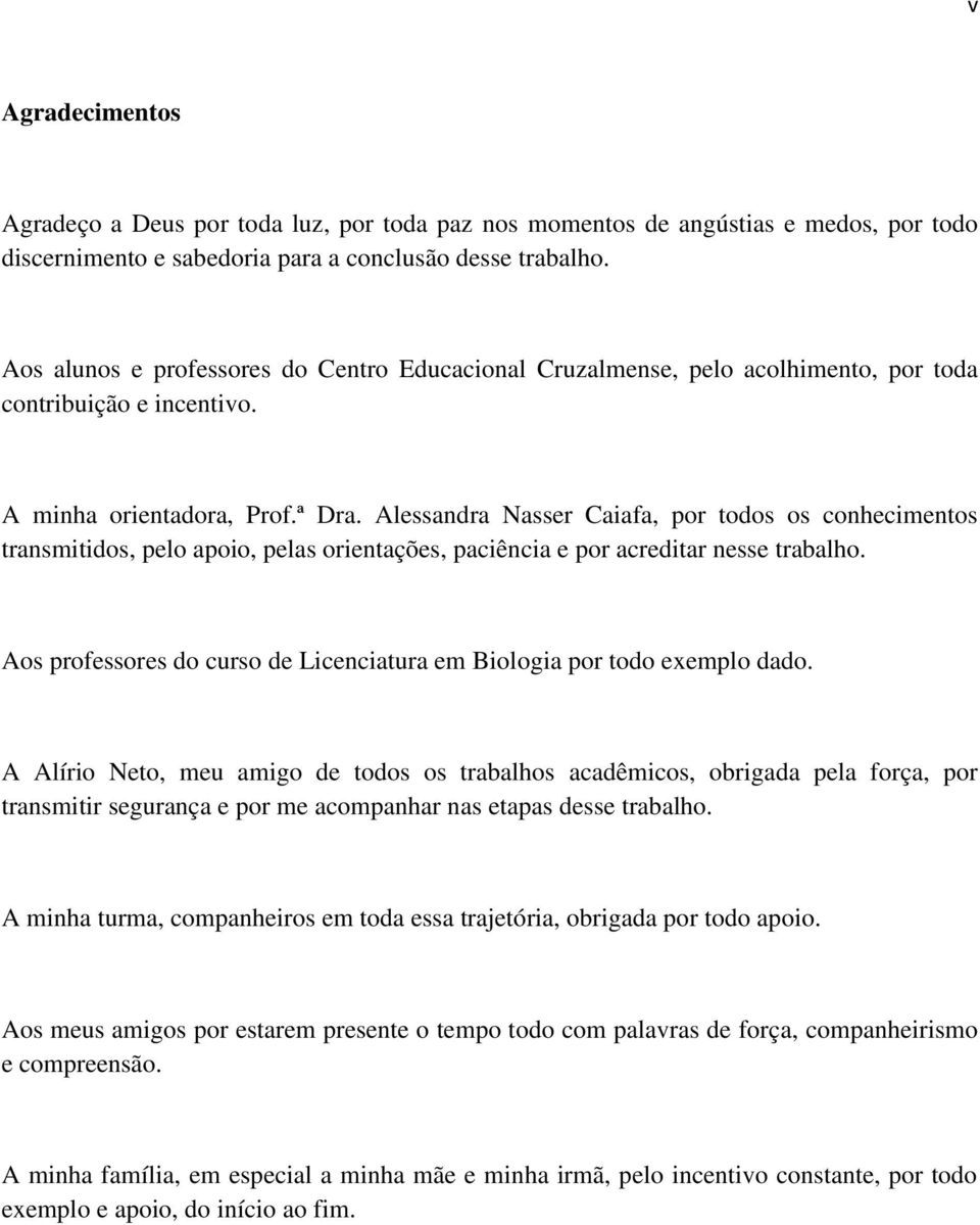 Alessandra Nasser Caiafa, por todos os conhecimentos transmitidos, pelo apoio, pelas orientações, paciência e por acreditar nesse trabalho.