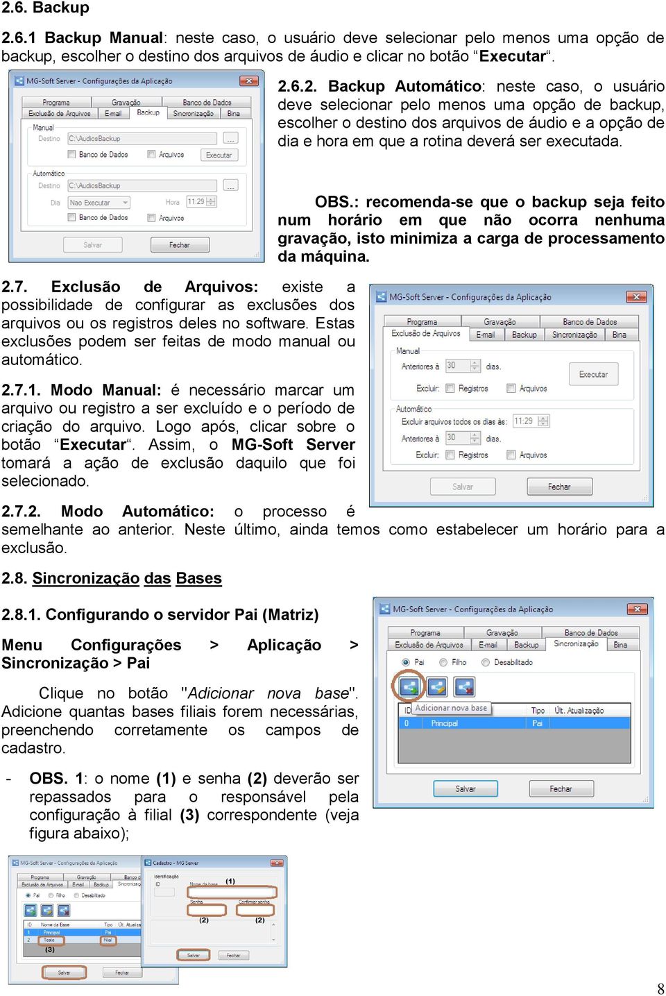 Modo Manual: é necessário marcar um arquivo ou registro a ser excluído e o período de criação do arquivo. Logo após, clicar sobre o botão Executar.