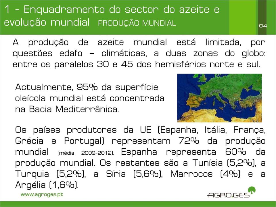 Actualmente, 95% da superfície oleícola mundial está concentrada na Bacia Mediterrânica.