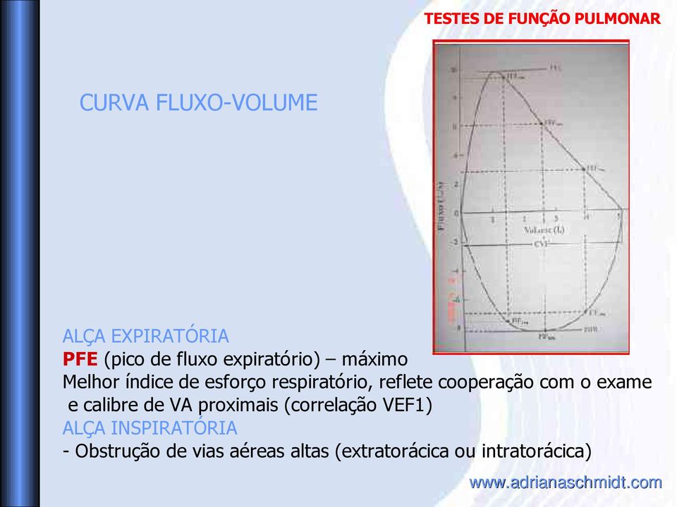 com o exame e calibre de VA proximais (correlação VEF1) ALÇA