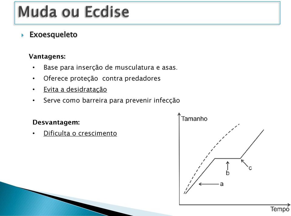 Oferece proteção contra predadores Evita a