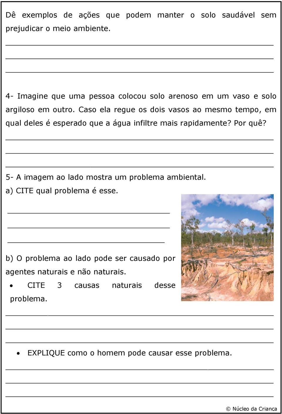 Caso ela regue os dois vasos ao mesmo tempo, em qual deles é esperado que a água infiltre mais rapidamente? Por quê?