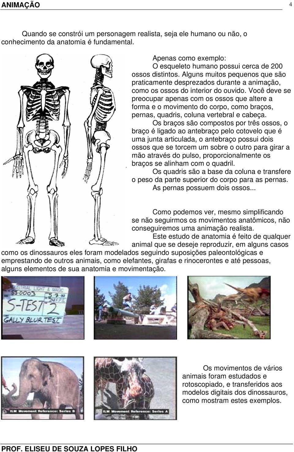 pernas, quadris, coluna vertebral e cabeça Os braços são compostos por três ossos, o braço é ligado ao antebraço pelo cotovelo que é uma junta articulada, o antebraço possui dois ossos que se torcem