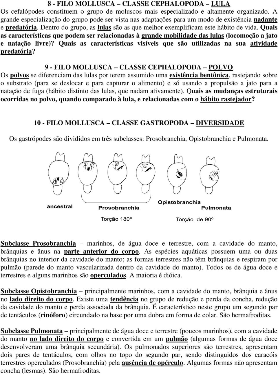 Quais as características que podem ser relacionadas à grande mobilidade das lulas (locomoção a jato e natação livre)? Quais as características visíveis que são utilizadas na sua atividade predatória?