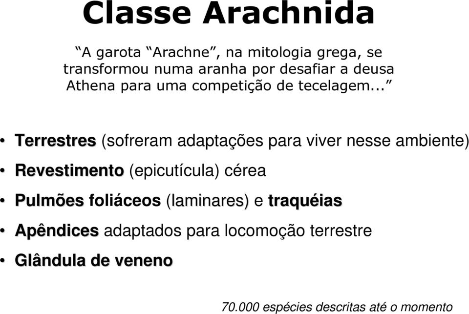 (laminares) e traquéias Apêndices adaptados para locomoção