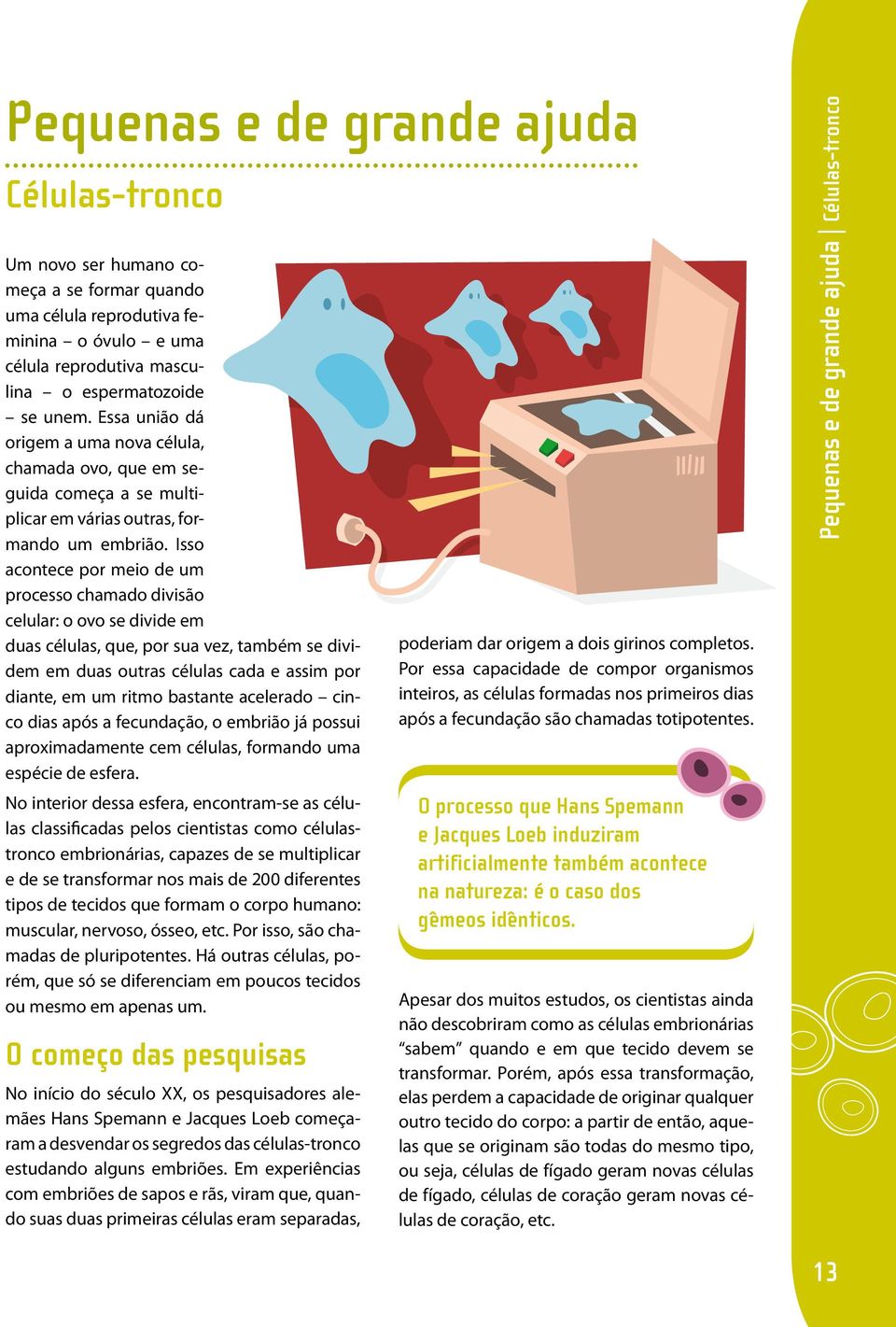 Isso acontece por meio de um processo chamado divisão celular: o ovo se divide em duas células, que, por sua vez, também se dividem em duas outras células cada e assim por diante, em um ritmo