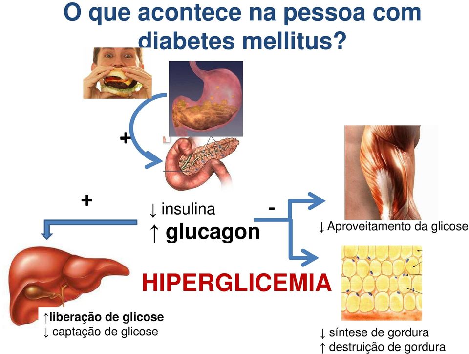 glicose HIPERGLICEMIA liberação de glicose