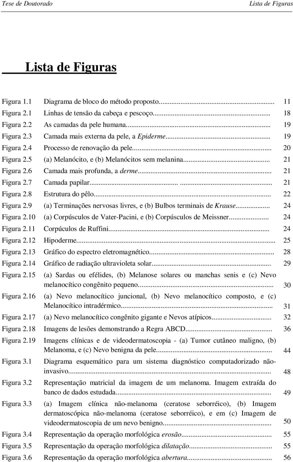 6 Camada mais profunda, a derme... 21 Figura 2.7 Camada papilar...... 21 Figura 2.8 Estrutura do pêlo... 22 Figura 2.9 (a) Terminações nervosas livres, e (b) Bulbos terminais de Krause... 24 Figura 2.