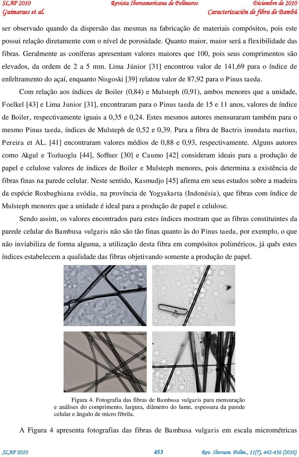 Lima Júnior [31] encontrou valor de 141,69 para o índice de enfeltramento do açaí, enquanto Nisgoski [39] relatou valor de 87,92 para o Pinus taeda.