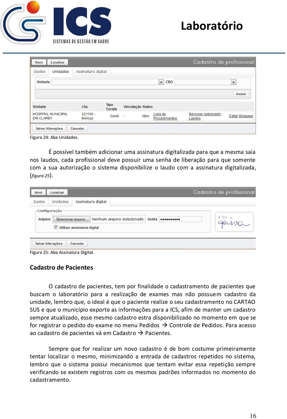 disponibilize o laudo com a assinatura digitalizada, (figura 25). Figura 25: Aba Assinatura Digital.