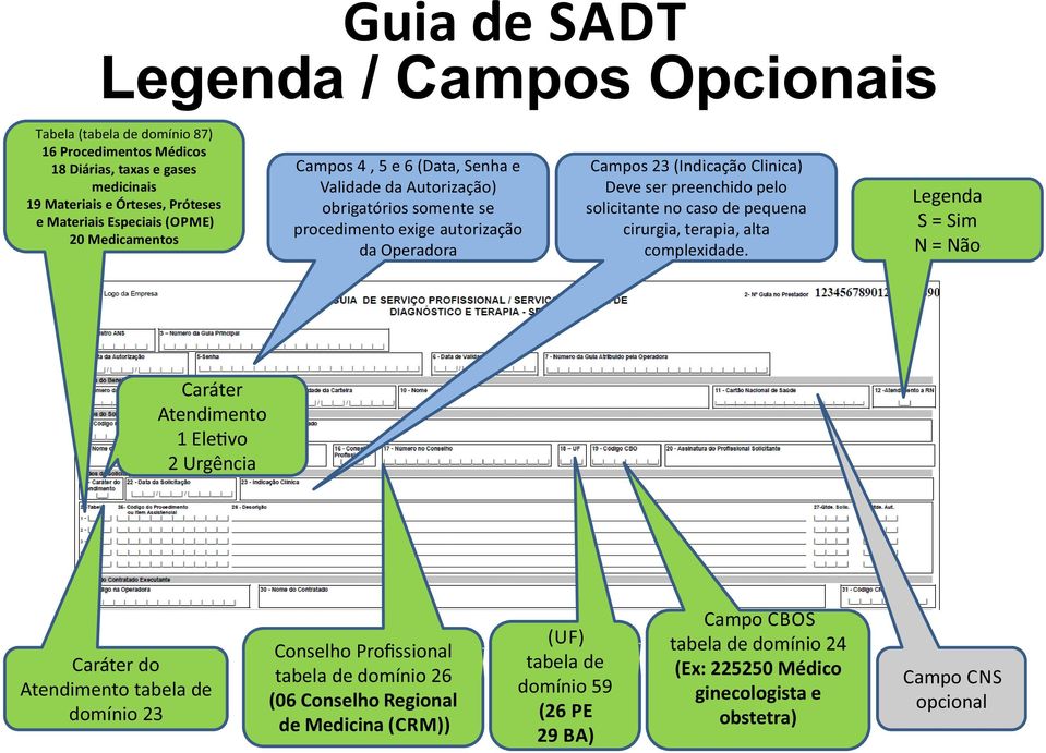 solicitante no caso de pequena cirurgia, terapia, alta complexidade.