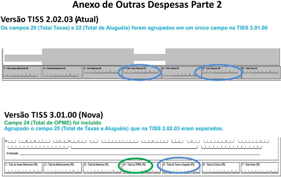 agrupados em um único campo na TISS 3.01.