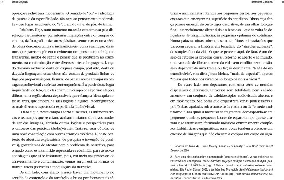 Hoje, num momento marcado como nunca pela dissolução das fronteiras, por intensas migrações entre os campos do cinema, da fotografia e das artes plásticas, vemos nascer uma série de obras