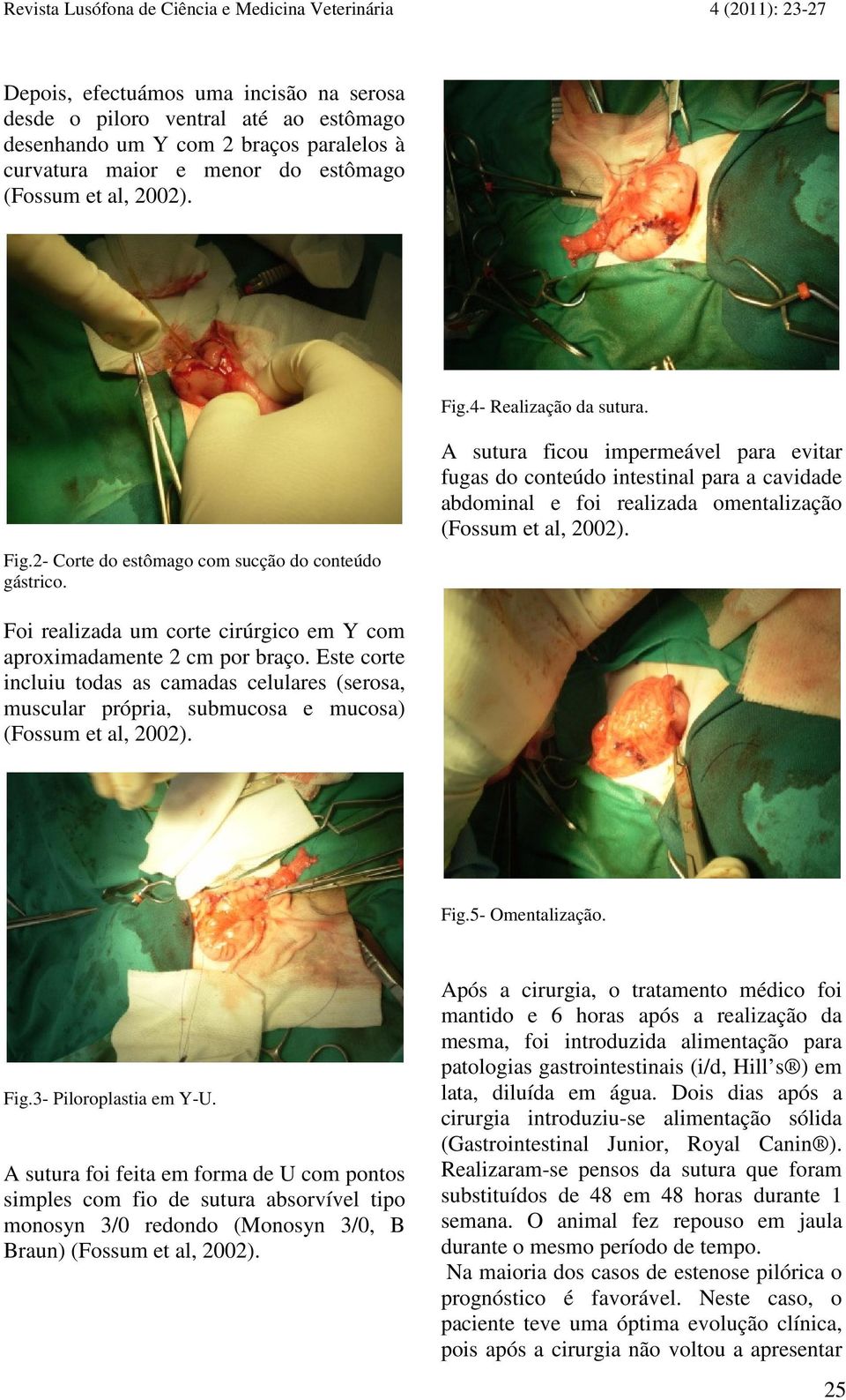 A sutura ficou impermeável para evitar fugas do conteúdo intestinal para a cavidade abdominal e foi realizada omentalização (Fossum et al, Foi realizada um corte cirúrgico em Y com aproximadamente 2
