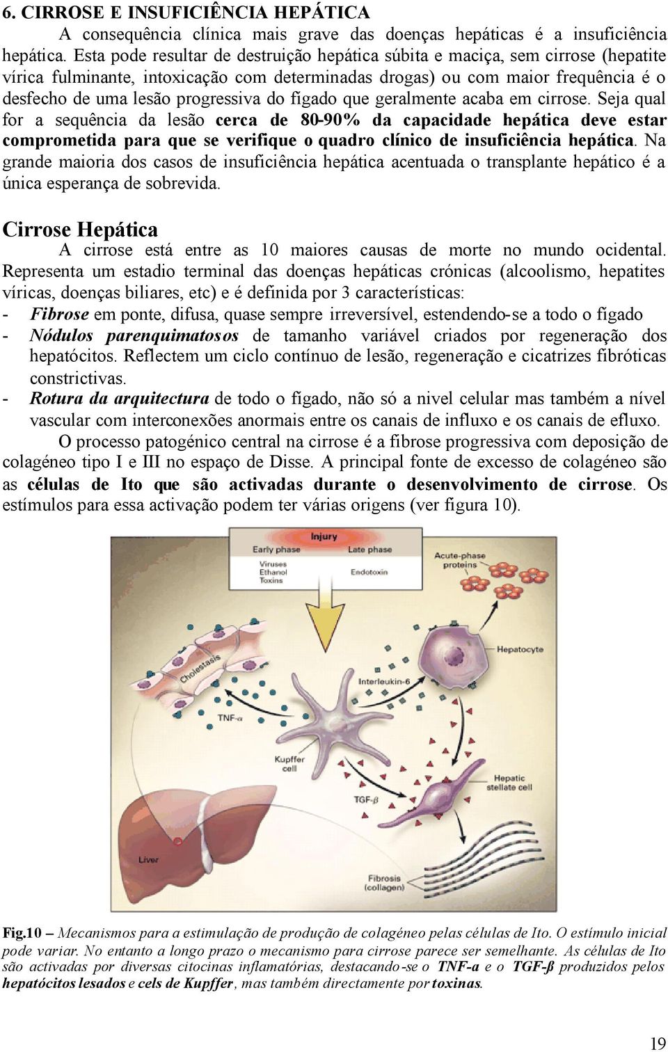 do fígado que geralmente acaba em cirrose.