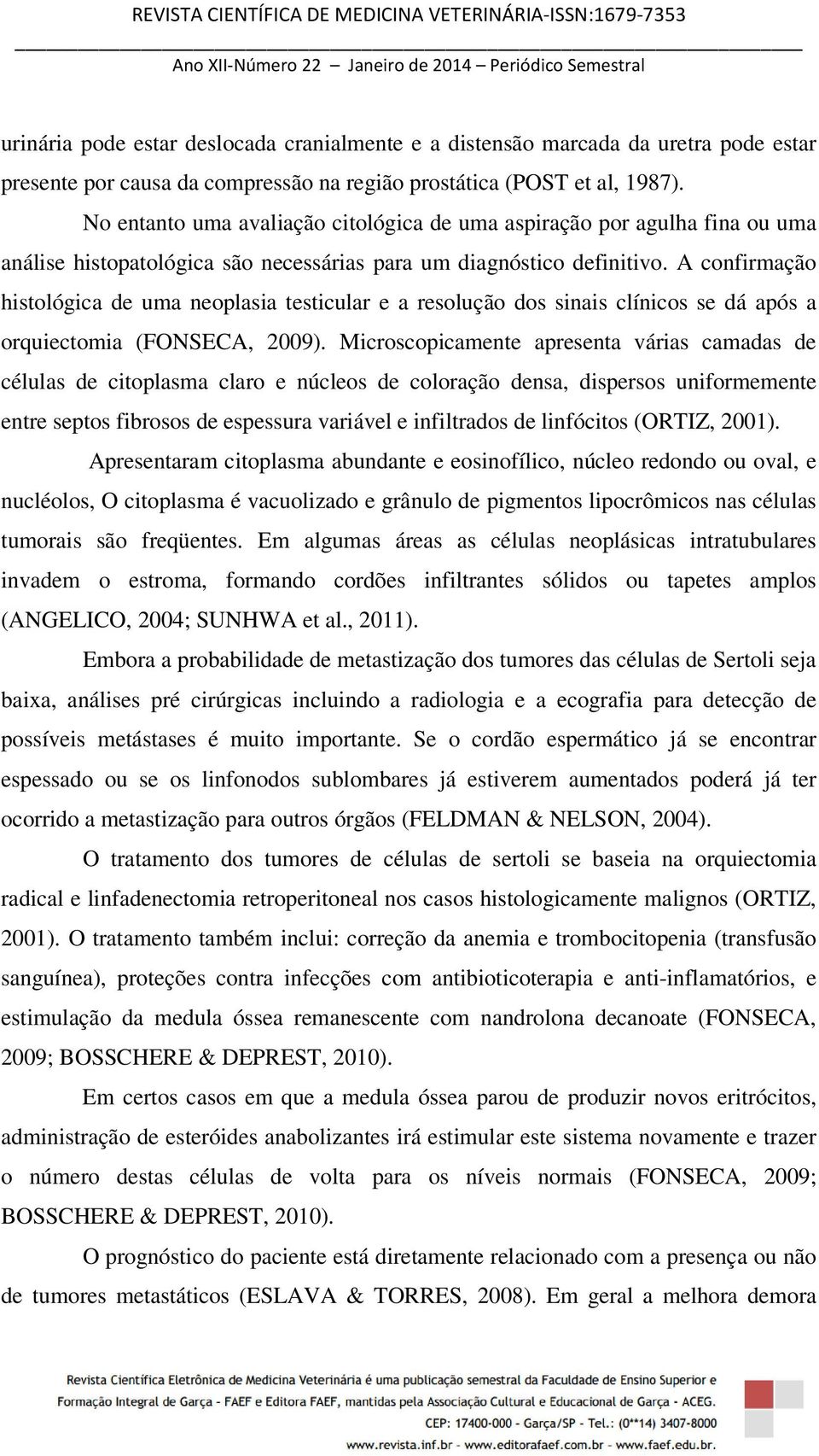 A confirmação histológica de uma neoplasia testicular e a resolução dos sinais clínicos se dá após a orquiectomia (FONSECA, 2009).