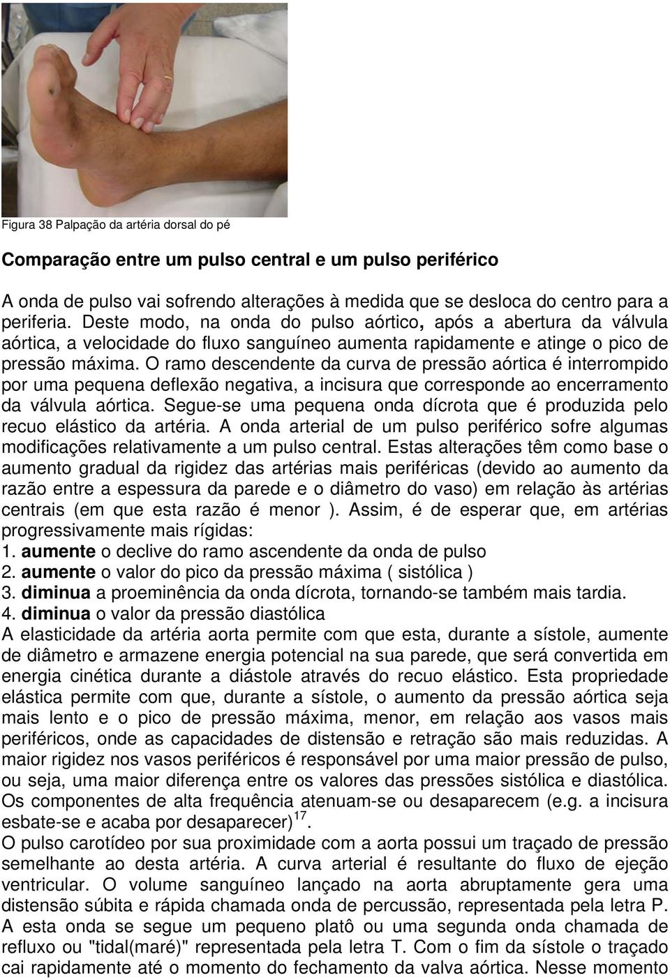 O ramo descendente da curva de pressão aórtica é interrompido por uma pequena deflexão negativa, a incisura que corresponde ao encerramento da válvula aórtica.